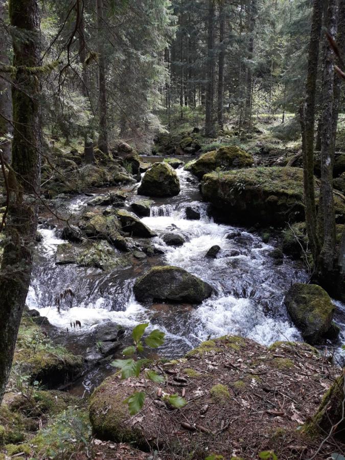 Anno - Die Wohlfuehl - Idylle In Gruenbach_Kirchdorf Kirchdorf im Wald Zewnętrze zdjęcie