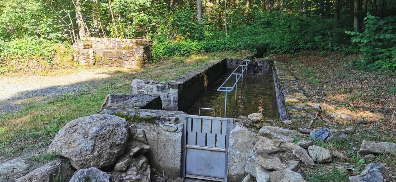 Anno - Die Wohlfuehl - Idylle In Gruenbach_Kirchdorf Kirchdorf im Wald Zewnętrze zdjęcie